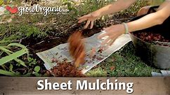 Sheet Mulching to Control or Get Rid of Your Lawn