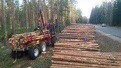 Bison Kranman 10000 and Vimek harvester in pine stand nearby Engure, Latvia
