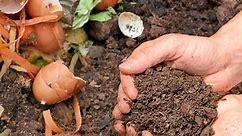 10 Tips for Winter Composting