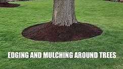EDGING and MULCHING around TREES - How to get a CLEAN LOOK