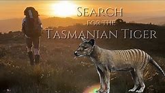 Does the Tasmanian Tiger (Thylacine) still exist at the Spero River Tasmania?