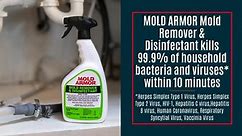 Mold Armor 32 oz. Mold Remover and Disinfectant, Spray Bottle FG552
