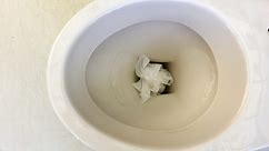 How to Unclog a Toilet (Without a Plunger)