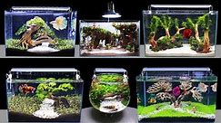 TOP 6 How To Make Mini Planted Fish Tank At Home Idea 6 DIY Aquascape Aquarium Decoration Ideas #142