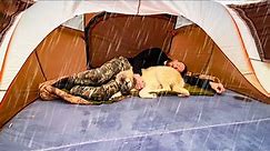 Camping in Heavy Rain • Cozy Day with my Dog,Cooking in Tent,Relaxing Rain Sounds