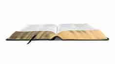 ESV Study Bible, Large Print (Genuine Leather, Black)
