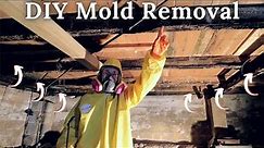 DIY Mold Remediation | Homestead Farmhouse Renovation Ep 2