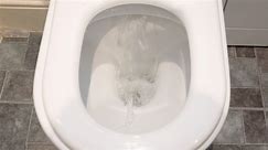 Eight in 10 Brits will only venture into a public toilet if it was completely unavoidable