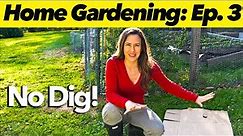 How to do No-Dig Gardening (and never weed again)