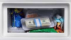 Woman Accidentally Returns Costco Fridge with Her Life Savings in Freezer