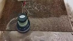 Disgusting smelly carpet cleaning satisfying rug cleaning ASMR#satisfying #carpetcleaning #rugwashingasmr