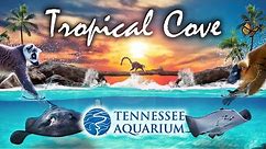 Zoo Tours: The Tropical Cove at the Tennessee Aquarium (2005)