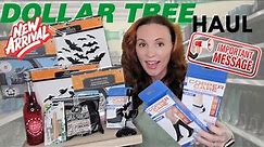 Dollar Tree Haul Plus A Very Important Message - Please Watch!