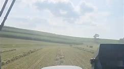 Baling some hay!! #newholland#squarebales#makinghay#hay#hayfarmer#agriculture#fyp#alalfa#hayseason#hayseason2023farming #fyp #reelsfypシ2024 #reelsfb #reelsfbviral #foryou | Elliot Scott