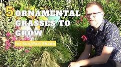 Ornamental Grasses for Sun & Part Shade | Garden Border Grasses to Grow | Perennial Grass Ideas