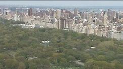 Central Park Live Look