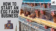 Chicken Egg Farming: How to Start, Run, and Profit from Your Own Business
