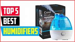 Top 5 Best Humidifiers of 2024