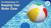 How to Keep Your Florida House Pool Sparkling and Healthy