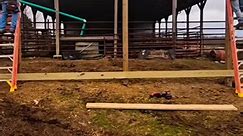 Wrapped up framing this 16x40 shed today..luckily we didn't listen to the weather man the past 2 days. We wouldn't have even gotten started yet if we had. 🤔 💭 When in doubt..SEND IT! 🌧 🔨💪🙌 💯 BergerBuilt #LETSGETIT #RUNTHAT #polebarn #postframed #kentucky #throwaways #Godisgood Kory Ray Cameron Beach Capito Charles (I do not own the rights to this music) | Chris Berger
