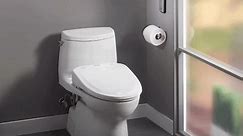 Toto Toilet Problems: How to Come up with Solutions?