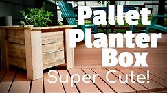 Pallet Planter Box | Super CUTE