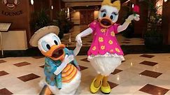 Donald Duck surprises Daisy Duck for Valentine's Day! // Disneyland