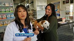 Walmart Sam's Club TV Spot, 'Pet Prescriptions'