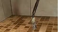 Clearing a shower drain blockage 💦 Using the Ridgid K50 to snake this shower drain for a client #plumber #plumbing #construction #diy #fyp #reels #homerepair #plumbingrepair #foryou #plomero #handyman | The Plumberlorian