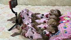 Sweetest Moment!! 4 Siblings Sleep Watching Movies Together Very Excited & Enjoyable!!