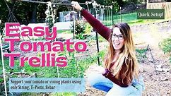 EASY TOMATO TRELLIS | Support your plants with String, T-Posts, Rebar