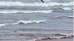 Kite Surfer on Lake Superior #kitesurfing #surfing #lakesuperior #minnesotalife #Minnesota | Lisa Rich