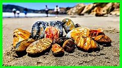 Rock Hunting Avila Beach: California's Central Coast