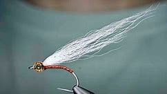 Easy-To-Tie Saltwater Minnow Fly | MidCurrent