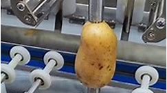 Creativity 💡 Potato peeler machine. 👌 Please don't forget to like and follow. ❤️ #potatopeeler #potatopeelermachine #engineering | Engineering Tools