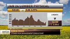 Robin Cross' Lumber & Housing Market Report 09/28/2023
