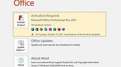 Download Microsoft Office 2021 Professional Plus Free (Trial Version)