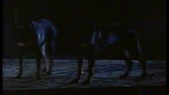 Rottweiler (1983) Trailer