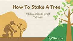 How To Stake A Tree