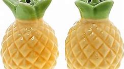 Novelty Salt and Pepper Shaker Set for the Kitchen Collector - Pineapple