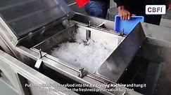 Tunnel freezer for the... - Ice Machine and Quick Freezer