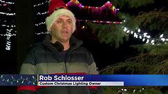 How to keep pests out of holiday lights