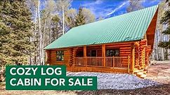 Best Log Cabin For Sale in Western Colorado?