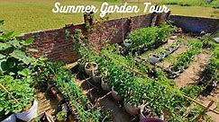 Summer Garden Tour | Organic Summer Vegetables | Summer Vegetables