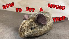 How to set a mouse trap & how it works