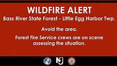 Officials: Active wildfire in Bass River State Forest in Little Egg Harbor Township