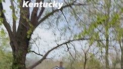 Kentucky Weather Today 😬 | Tammy Loiacano