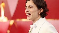 All The Times You Fell In Love With Timothée Chalamet This Awards Season