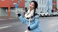 留学Vlog 20｜冰岛终章之我们还会再见的
