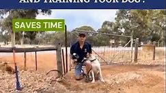 Dog Fence System Effective Installation Tip #1